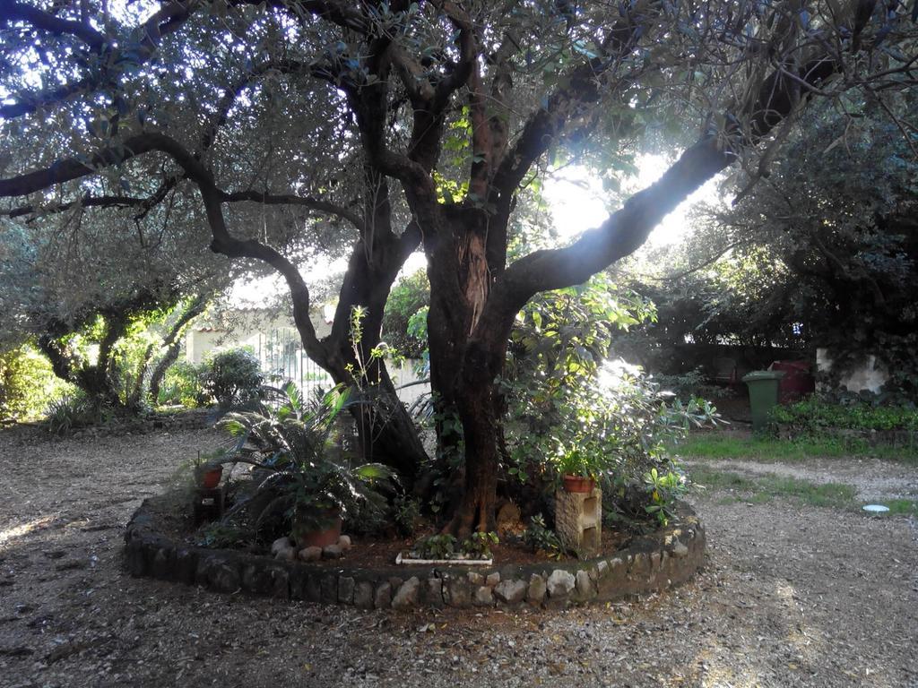 Apartamento Daniela Makarska Exterior foto